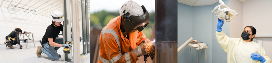 Three apprentices in different careers