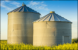 Two grain bins (photo)